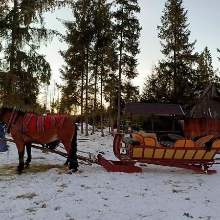 Anielki Apartament Lejlighed Zakopane Eksteriør billede