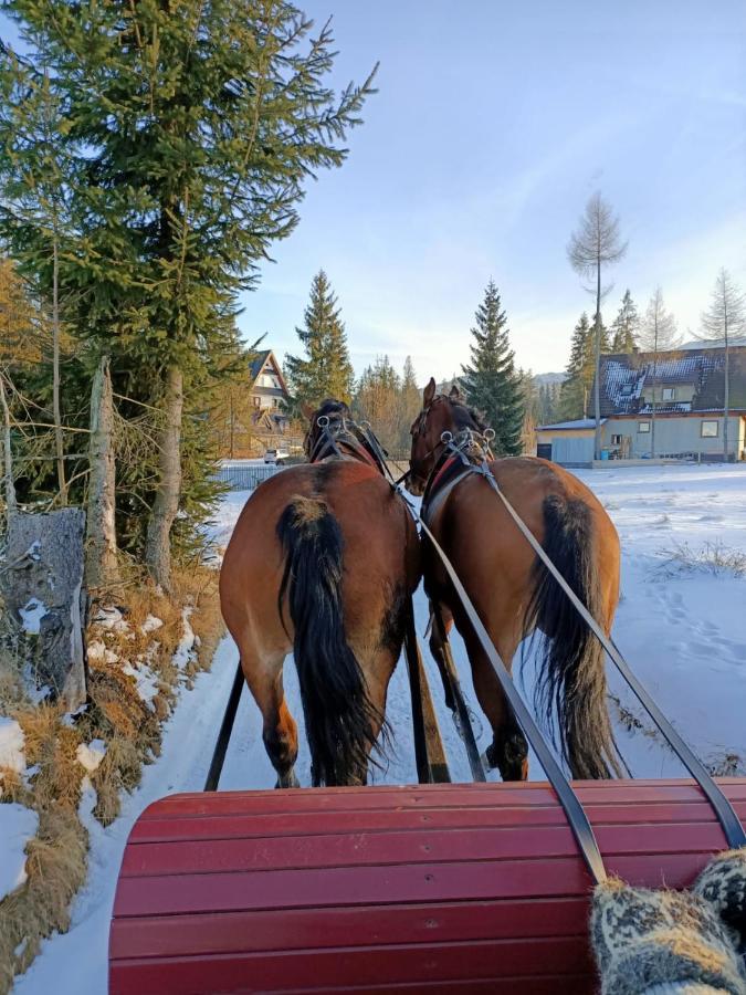 Anielki Apartament Zakopane Eksteriør billede